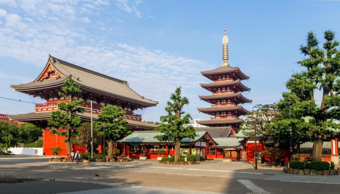 pexels-andrey-grushnikov-223358-21759449